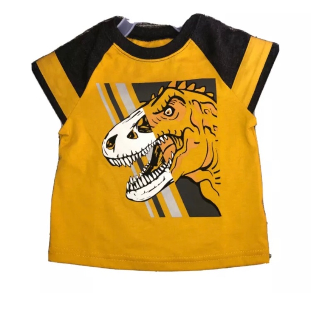 Baby Boy 18m Short Sleeve Graphic Dinosaur T-Shirt New 🦕🦖